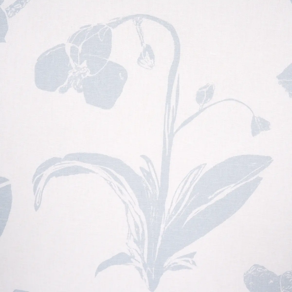 ORCHIDS HAVE DREAMS_ SKY