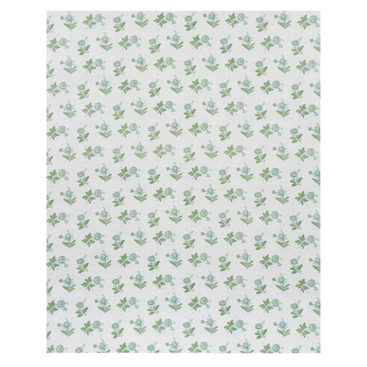 Colline_ LEAF & AQUA