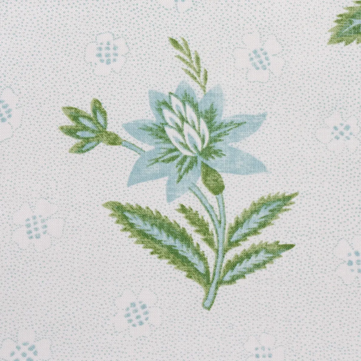Colline_ LEAF & AQUA