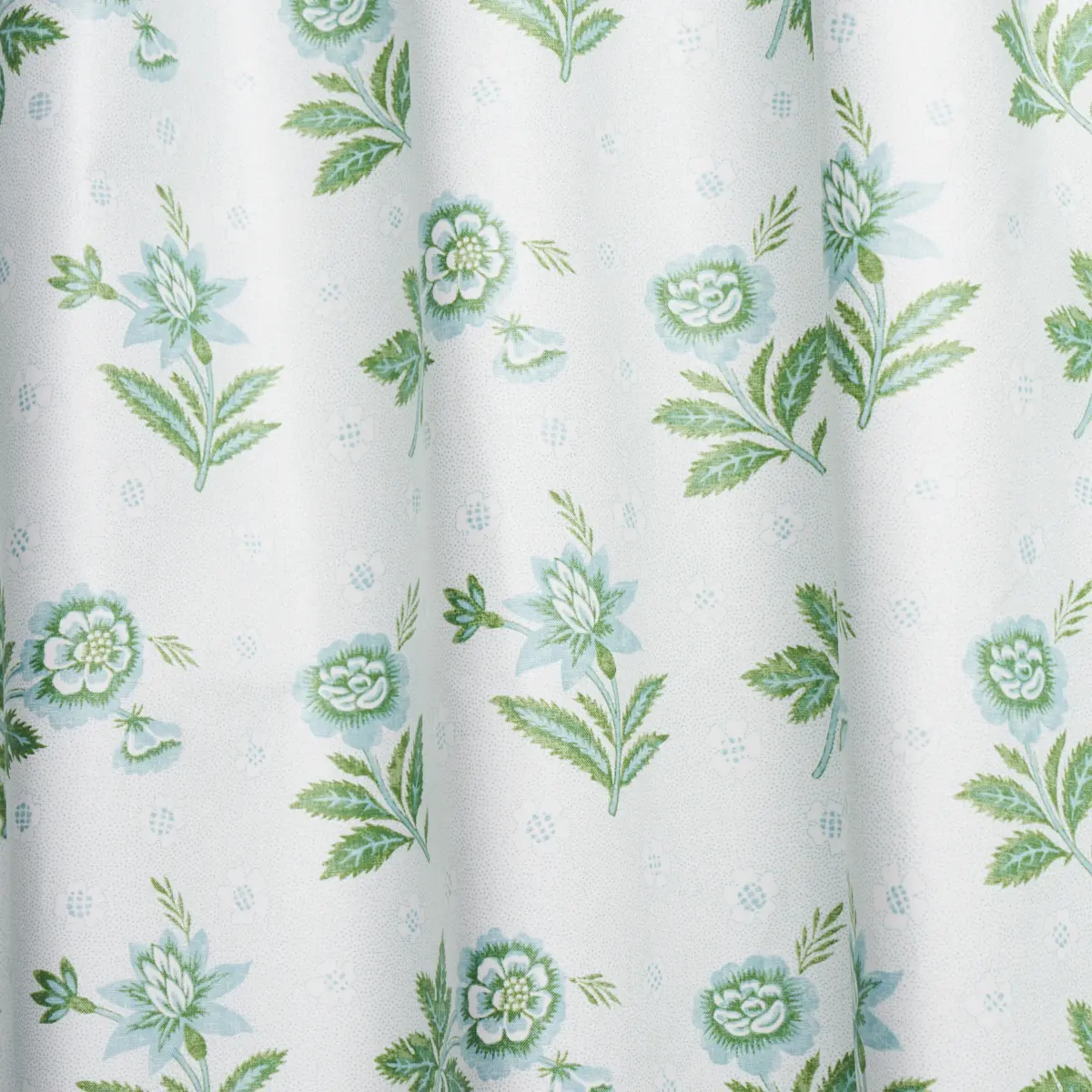 Colline_ LEAF & AQUA