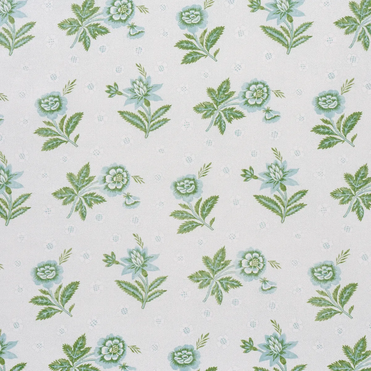 Colline_ LEAF & AQUA
