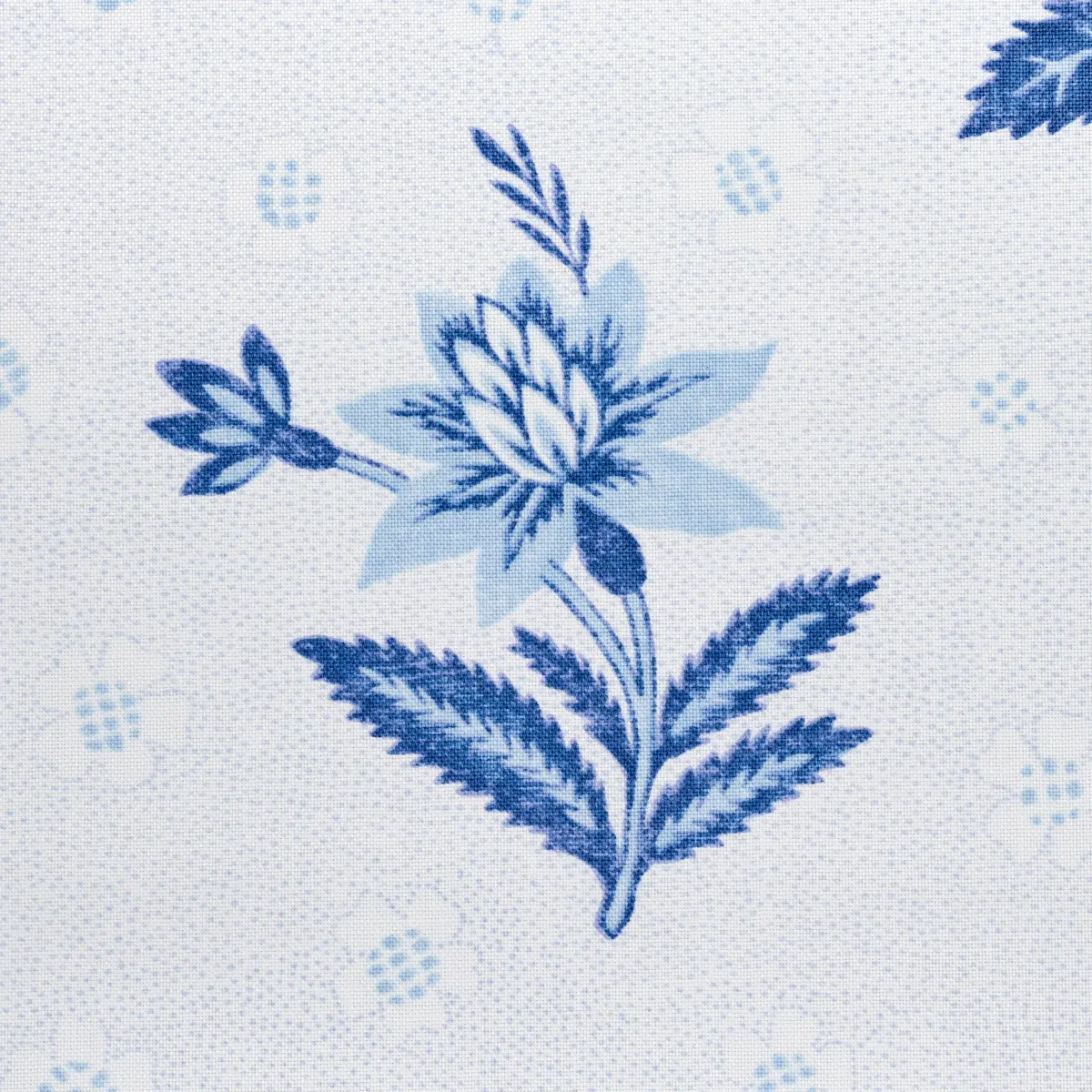 Colline_ PORCELAIN