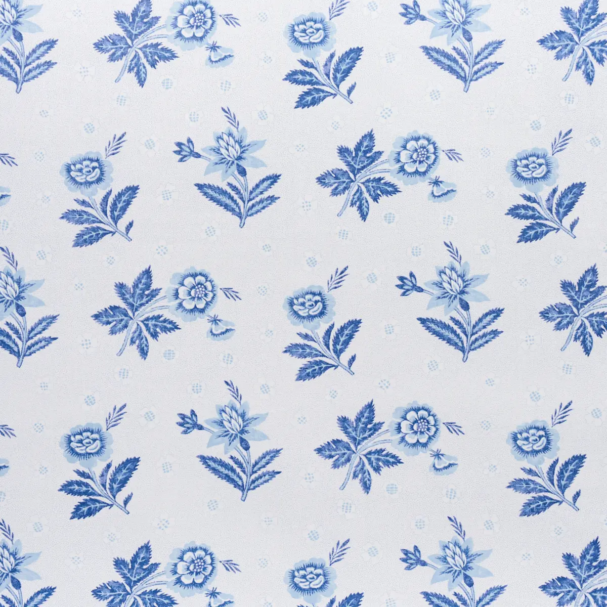 Colline_ PORCELAIN