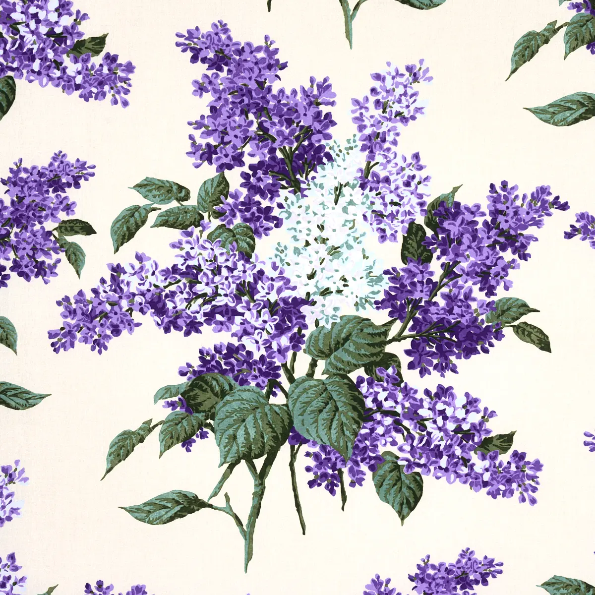 PROUST'S LILACS_ PURPLE