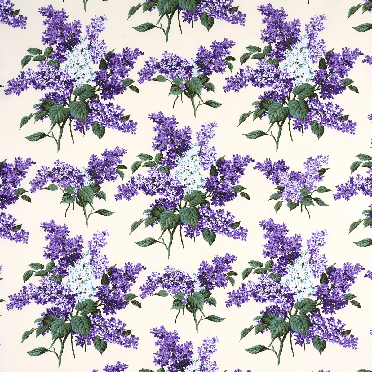 PROUST'S LILACS_ PURPLE