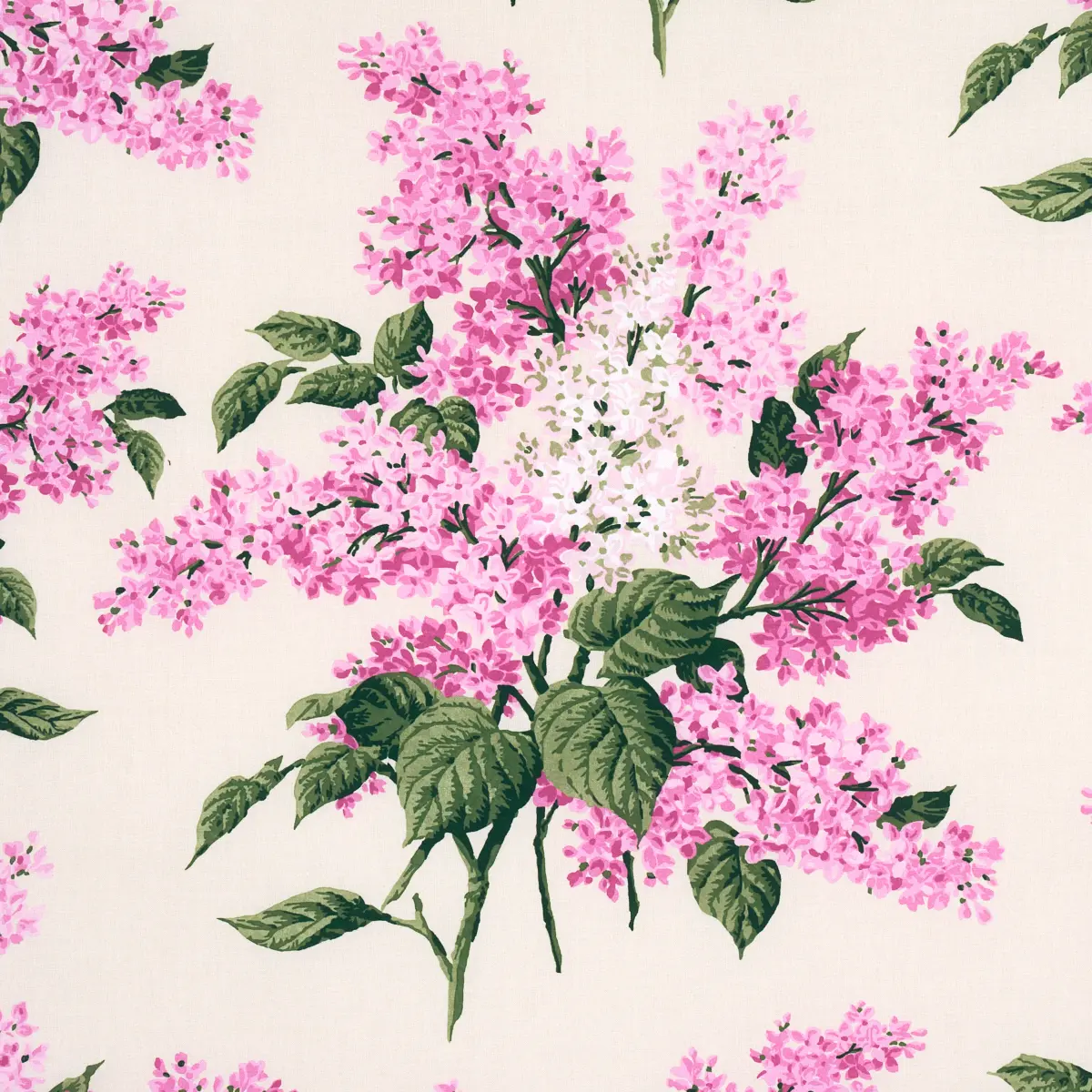 PROUST'S LILACS_ PINK