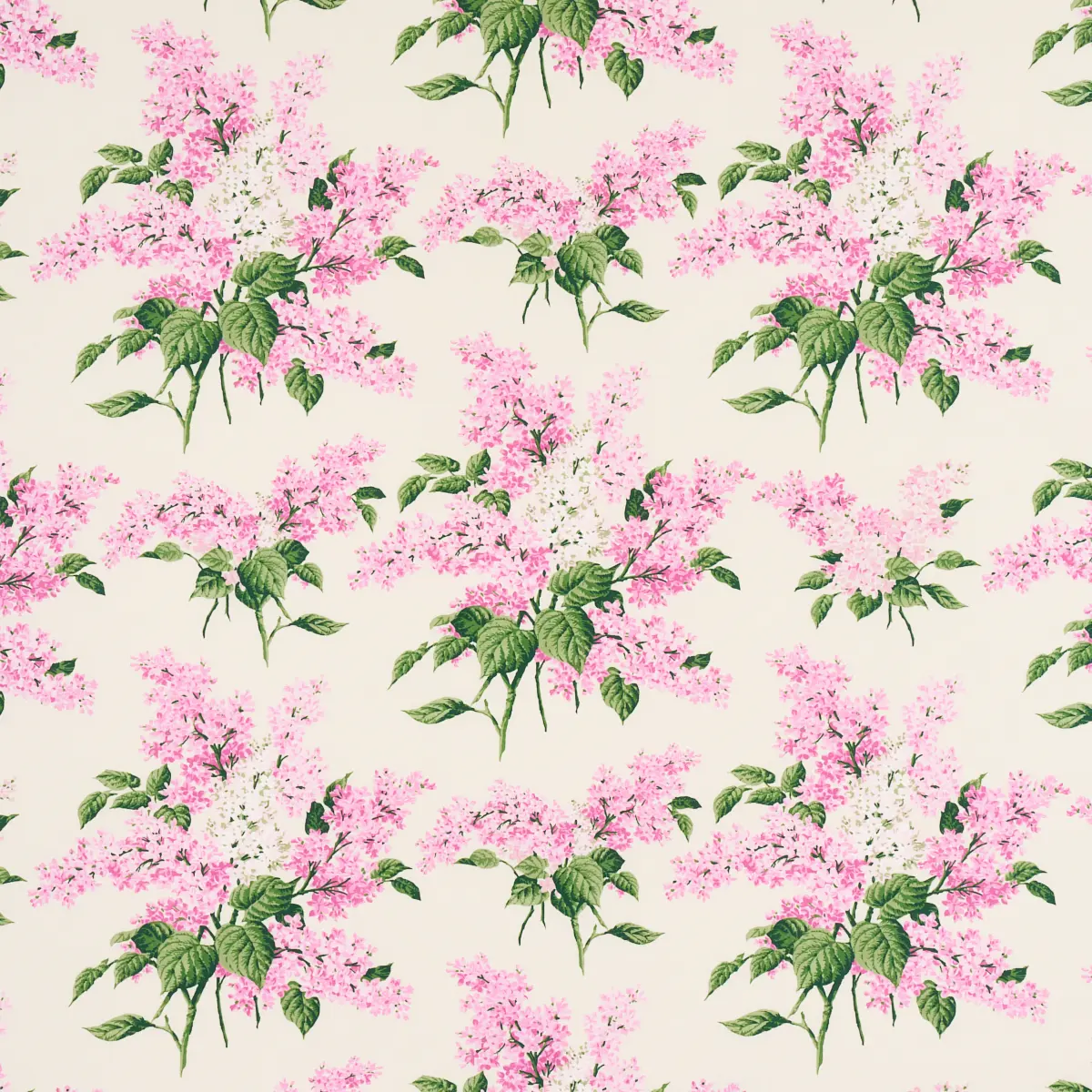 PROUST'S LILACS_ PINK