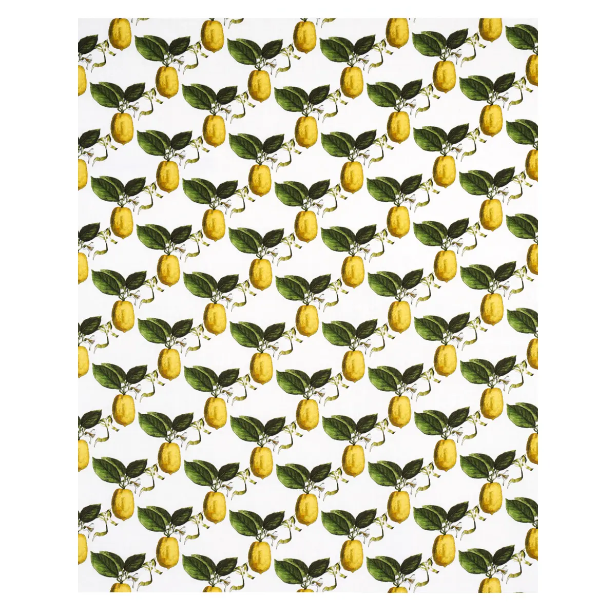 LE CITRON_ IVORY
