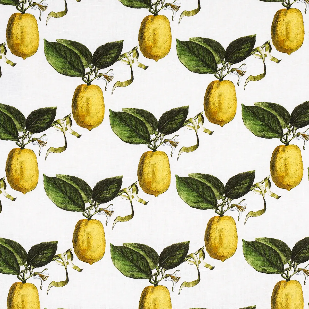 LE CITRON_ IVORY