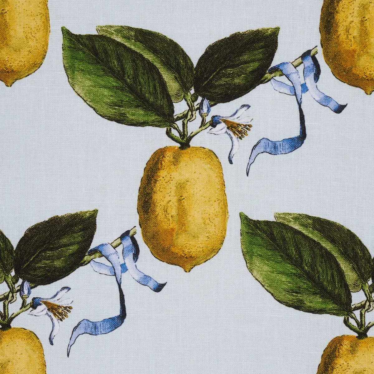LE CITRON_ SKY