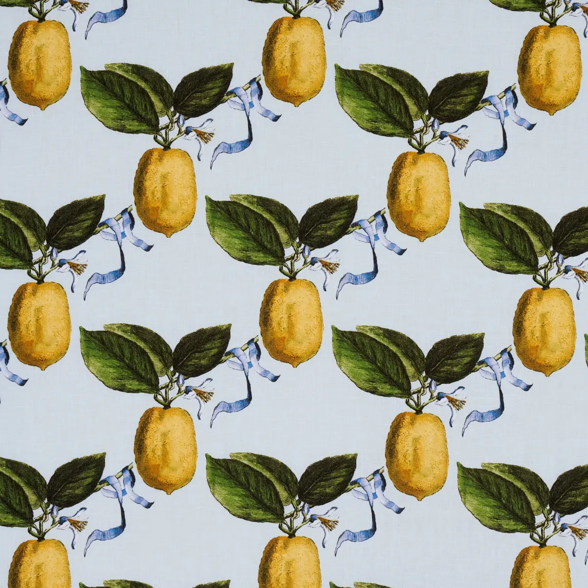 LE CITRON_ SKY