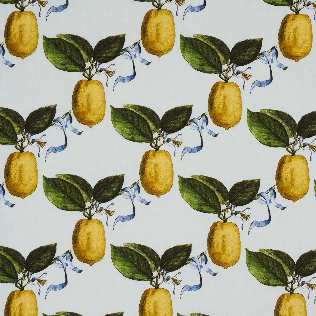 LE CITRON_ SKY
