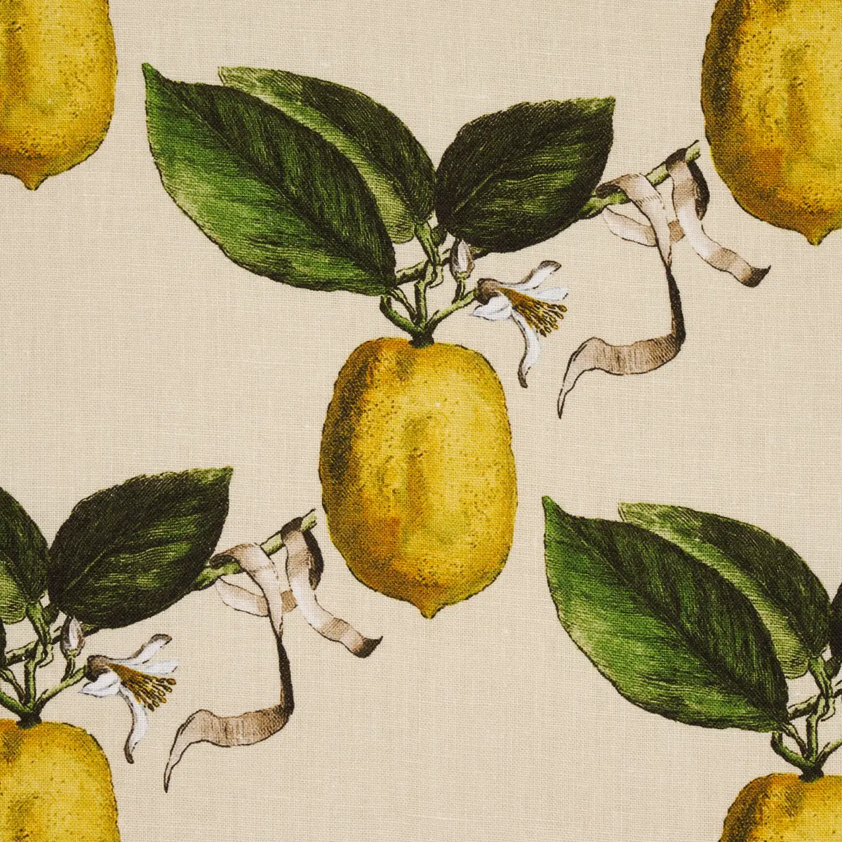 LE CITRON_ NATURAL