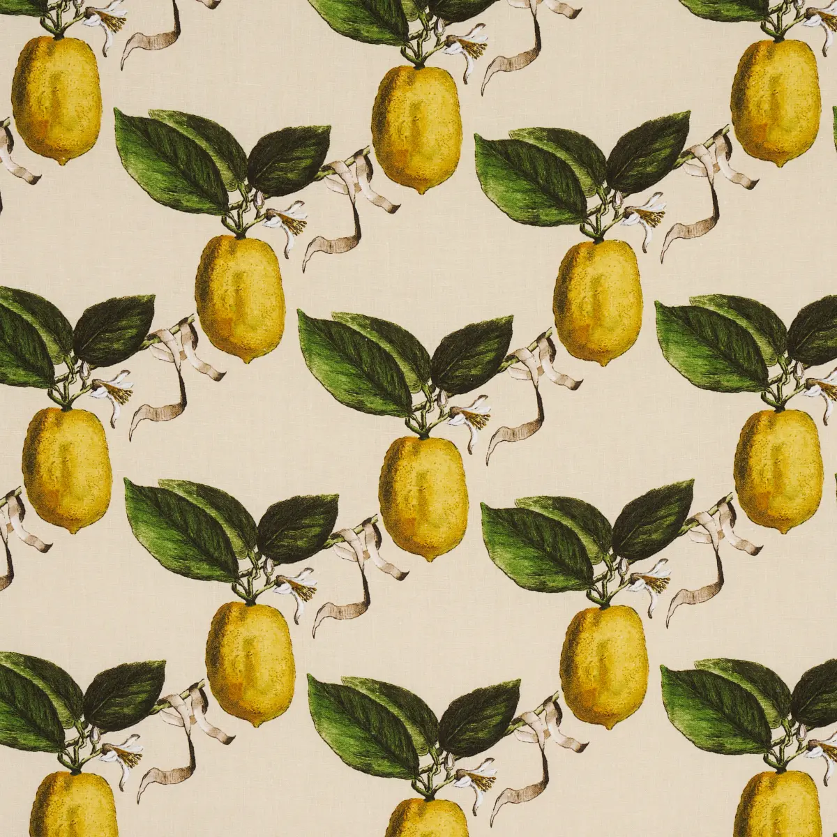 LE CITRON_ NATURAL