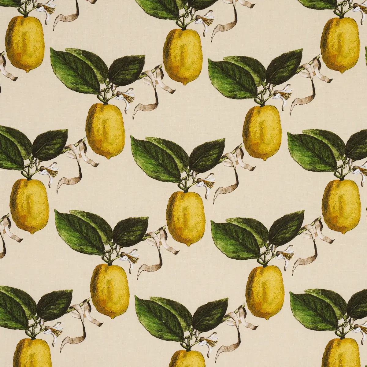 LE CITRON_ NATURAL