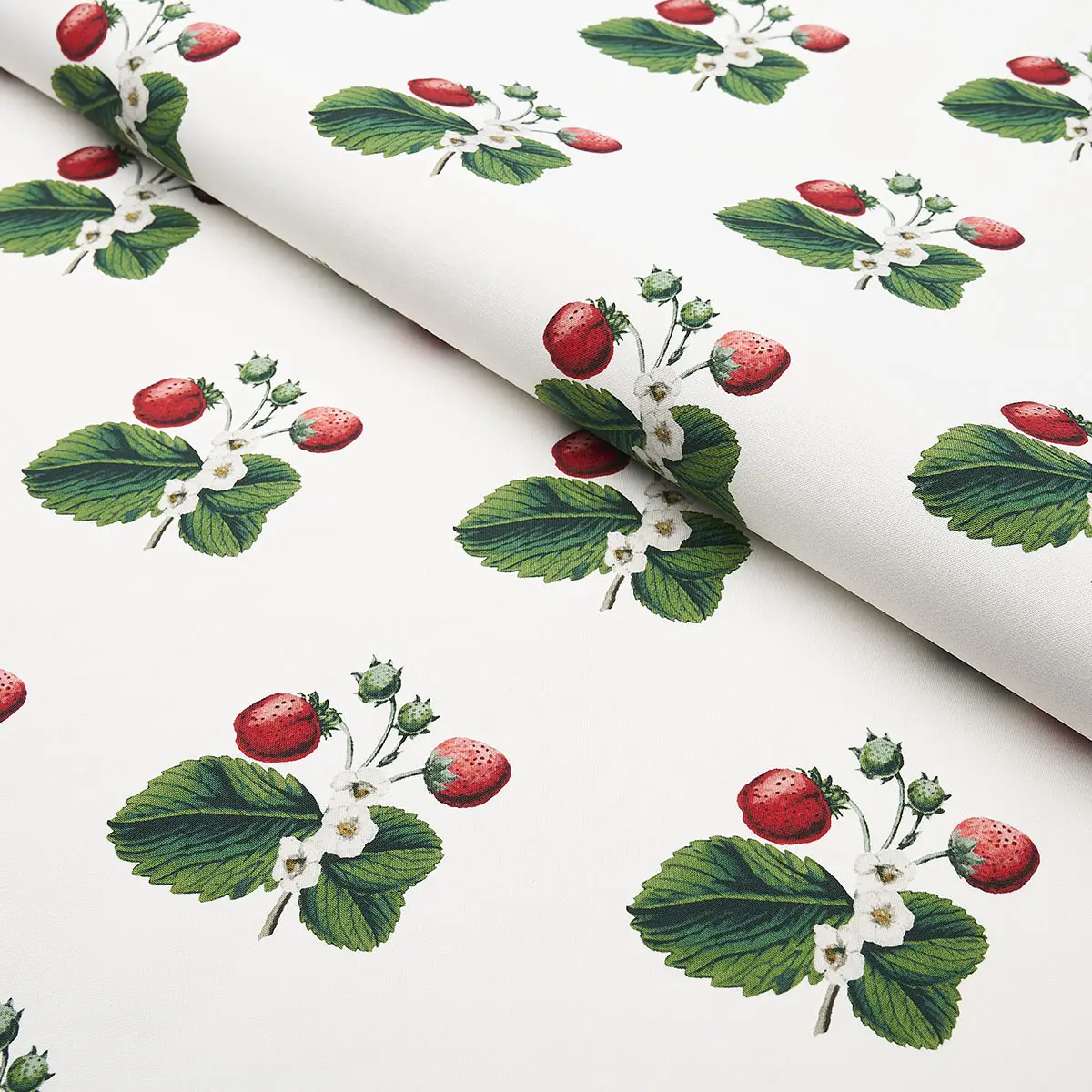 STRAWBERRY HILL_ WHITE
