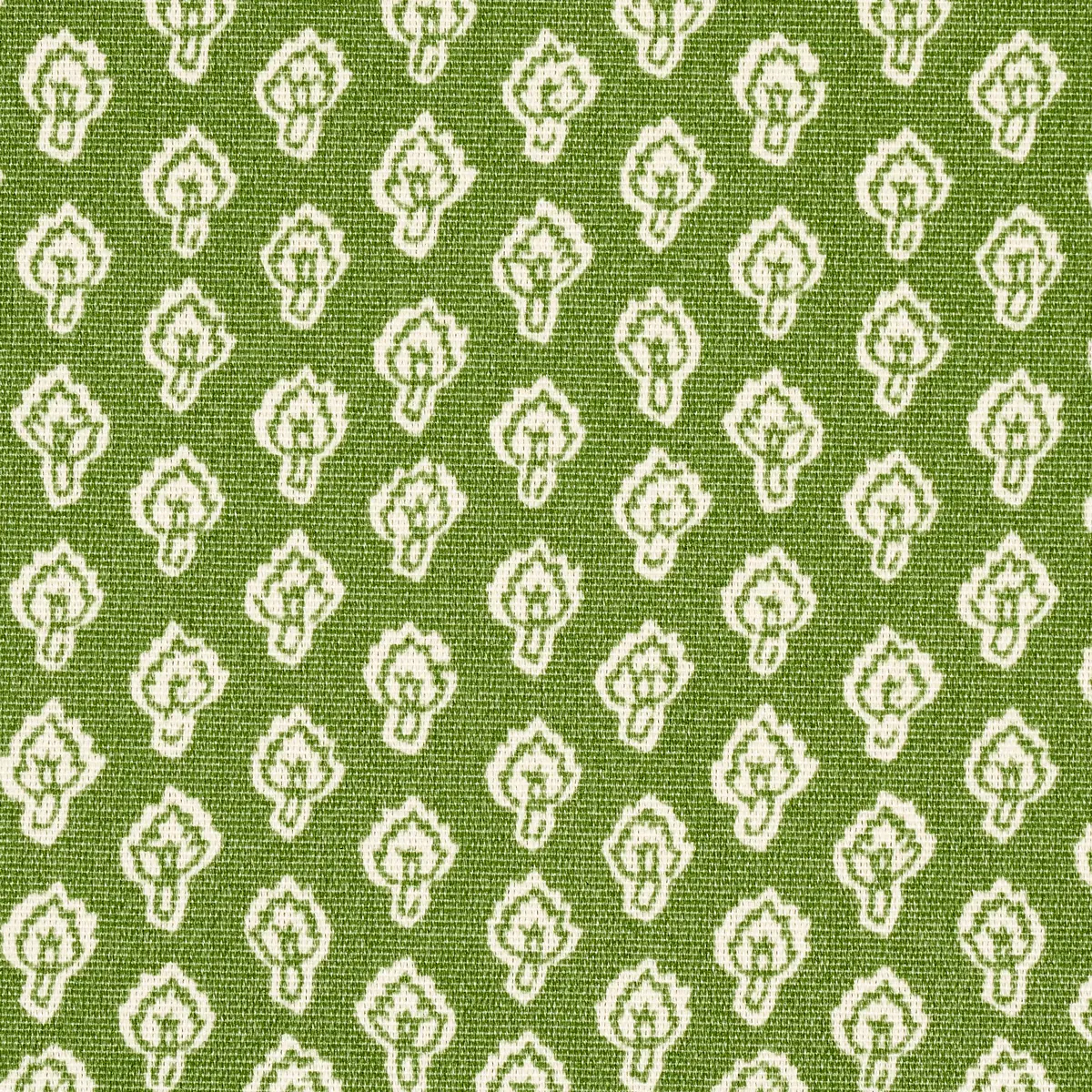 HYACINTH INDOOR/OUTDOOR_ LEAF GREEN