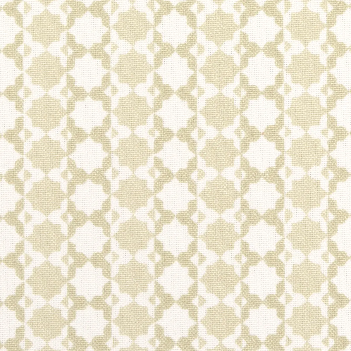 POSY INDOOR/OUTDOOR_ NEUTRAL