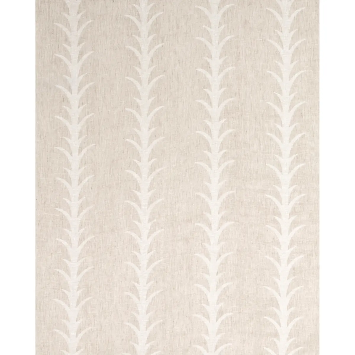 ACANTHUS STRIPE SHEER_ TAUPE