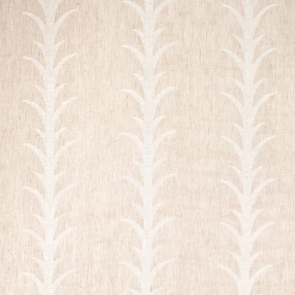 ACANTHUS STRIPE SHEER_ TAUPE