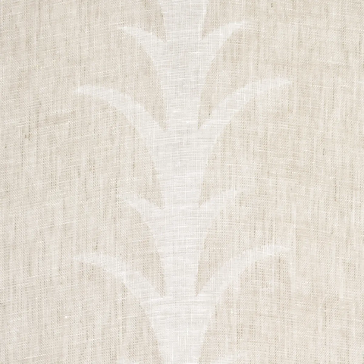 ACANTHUS STRIPE SHEER_ TAUPE