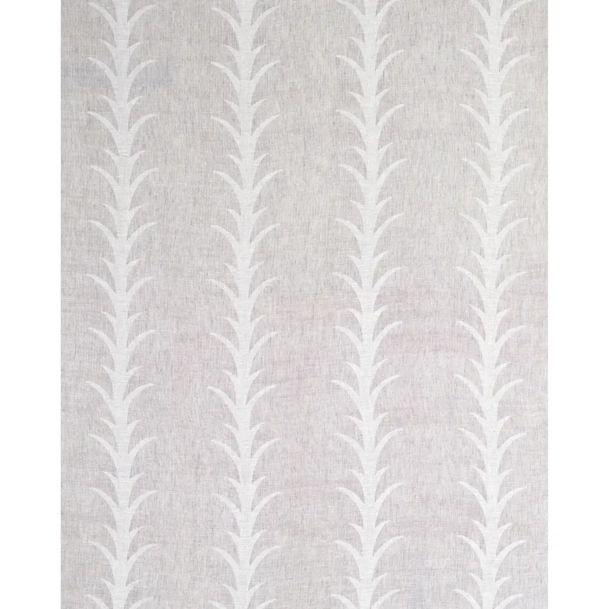 ACANTHUS STRIPE SHEER_ CARBON