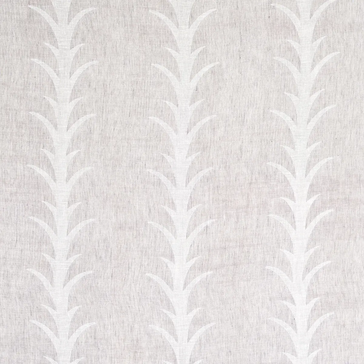 ACANTHUS STRIPE SHEER_ CARBON