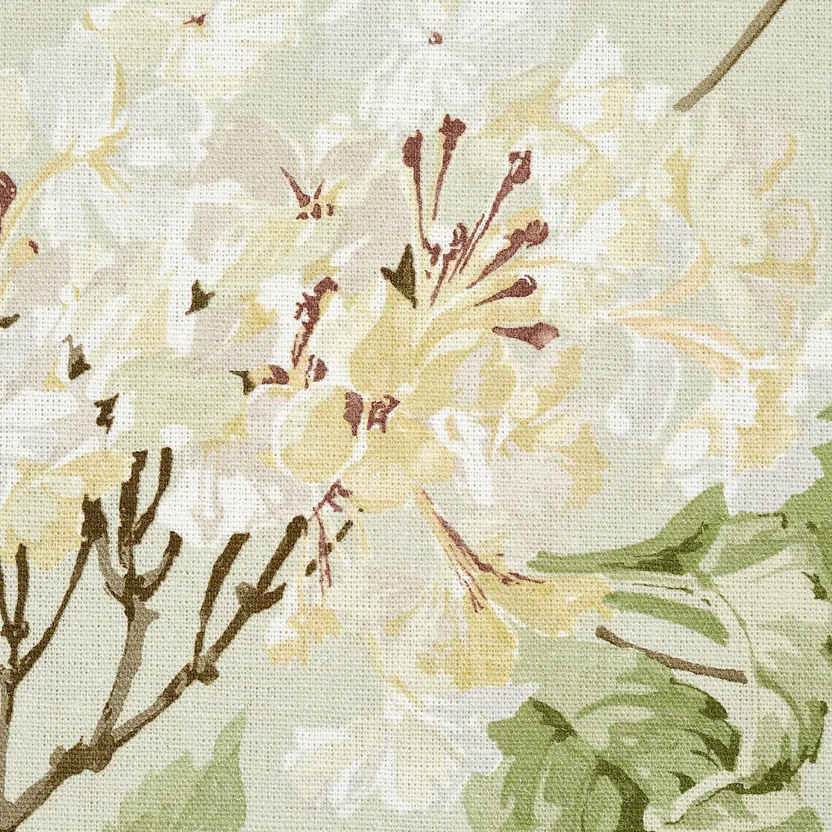 SUMMER HYDRANGEA_ CELADON