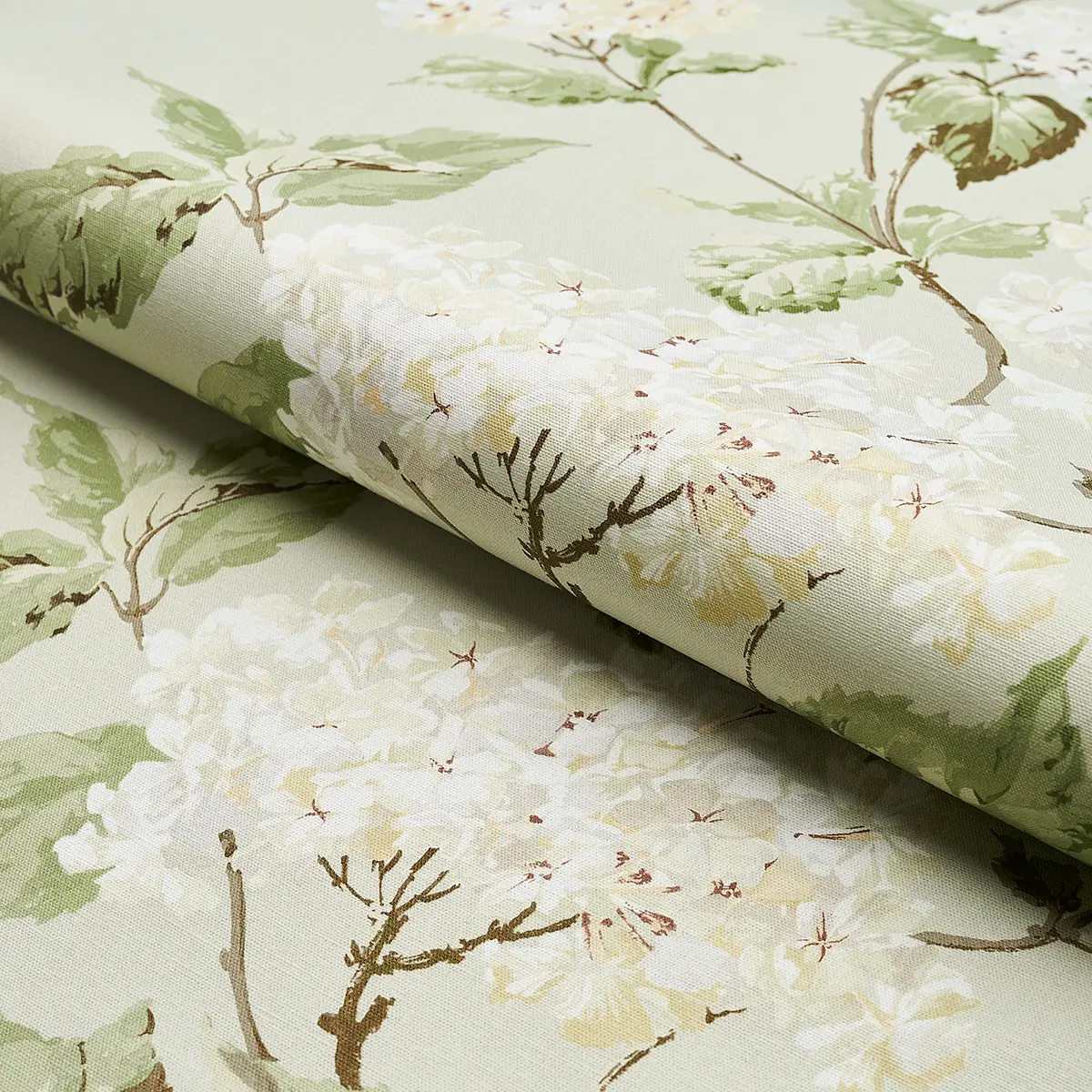 SUMMER HYDRANGEA_ CELADON