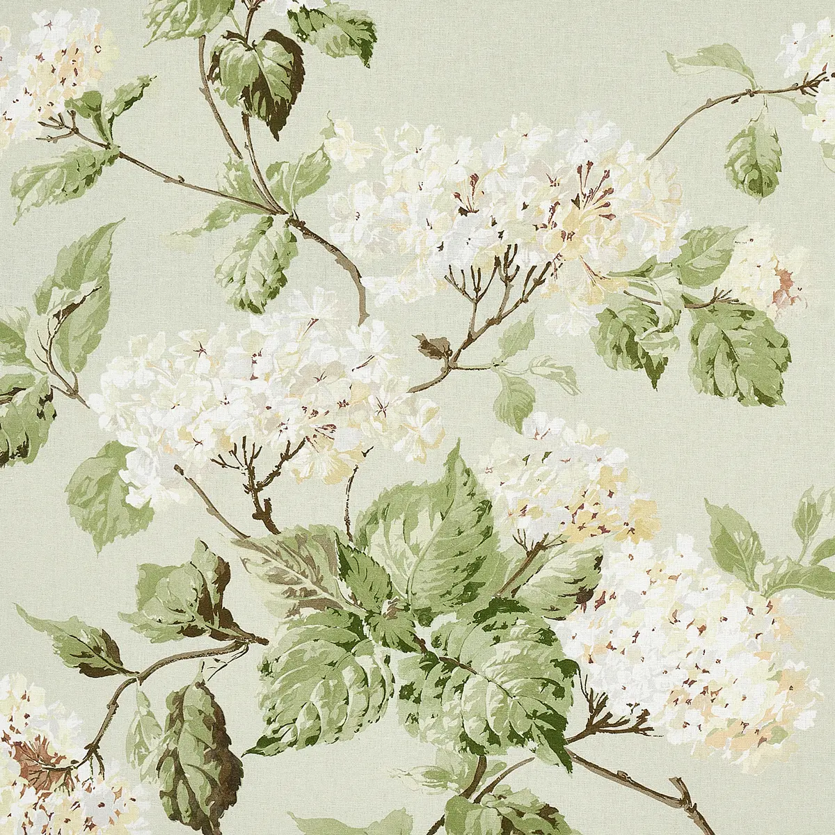 SUMMER HYDRANGEA_ CELADON