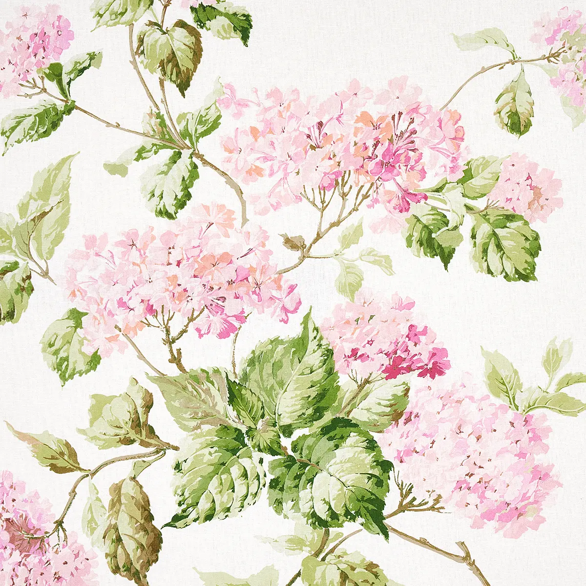 SUMMER HYDRANGEA_ BLUSH