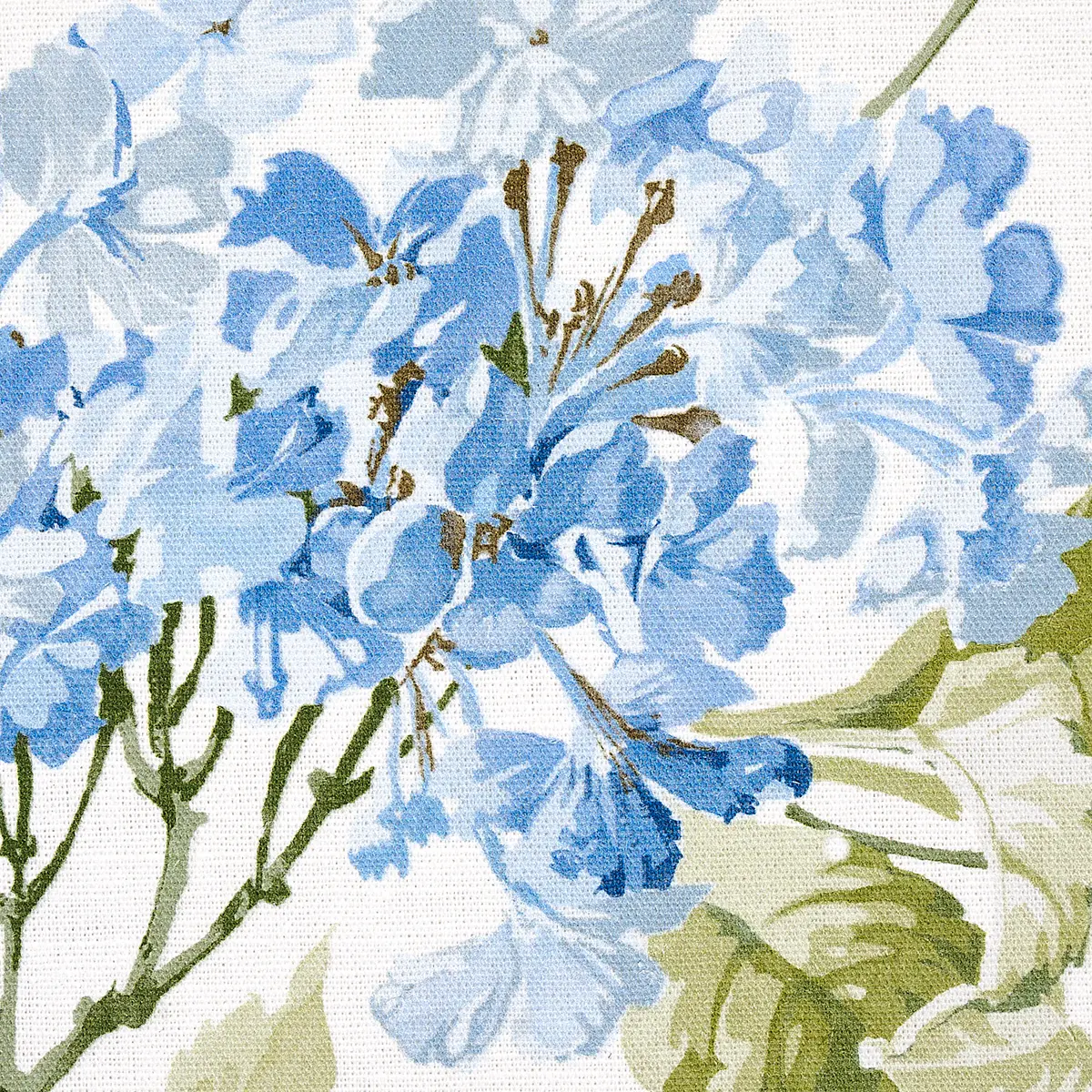 SUMMER HYDRANGEA_ BLUE HYDRANGEA