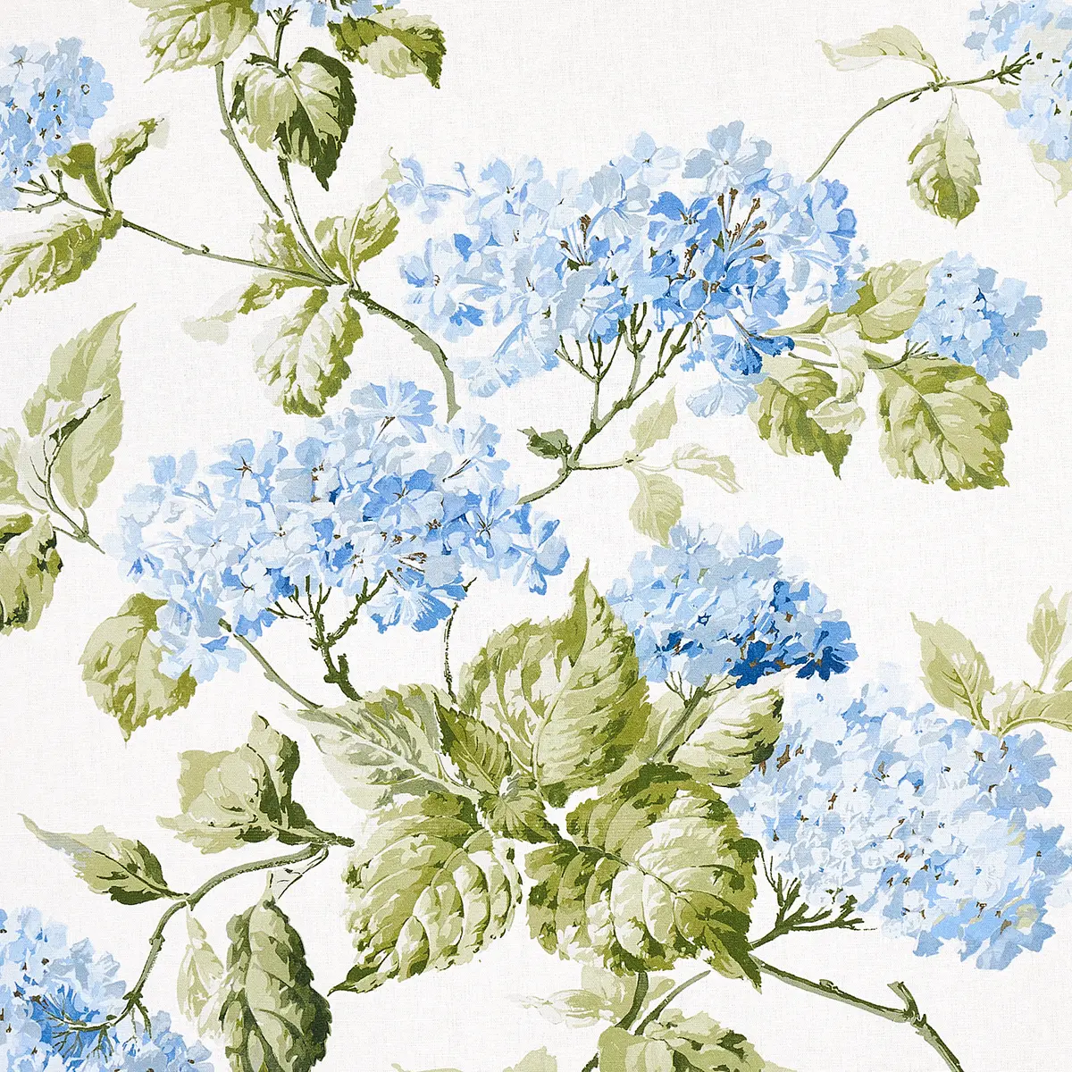 SUMMER HYDRANGEA_ BLUE HYDRANGEA