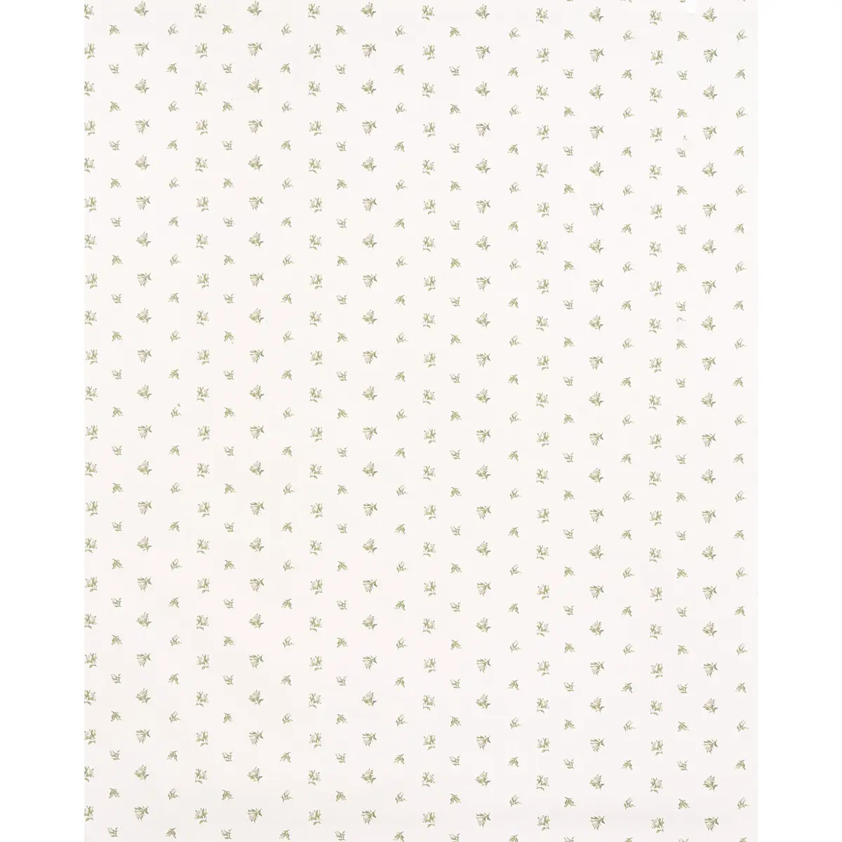 MARGIE FLORAL_ GRIS