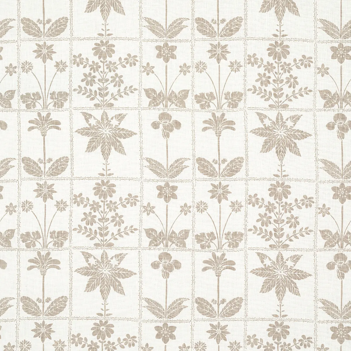 GEORGIA WILDFLOWERS_ NEUTRAL