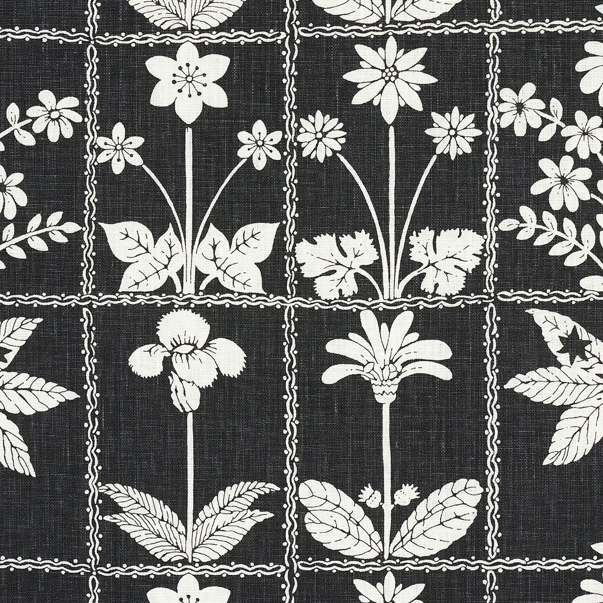 GEORGIA WILDFLOWERS_ BLACK