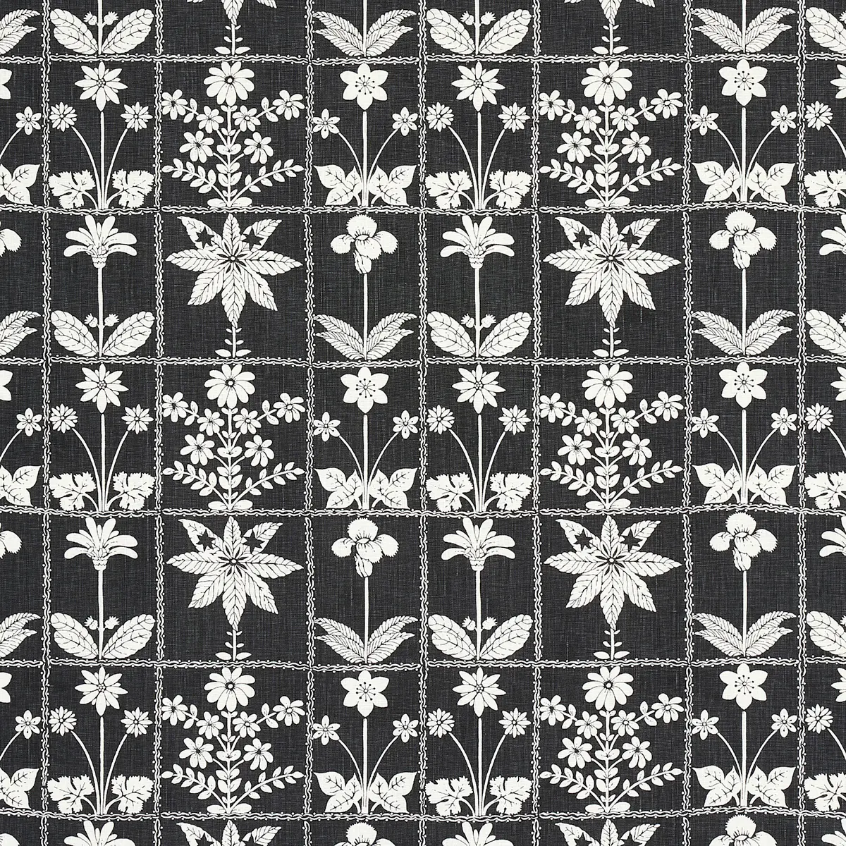 GEORGIA WILDFLOWERS_ BLACK