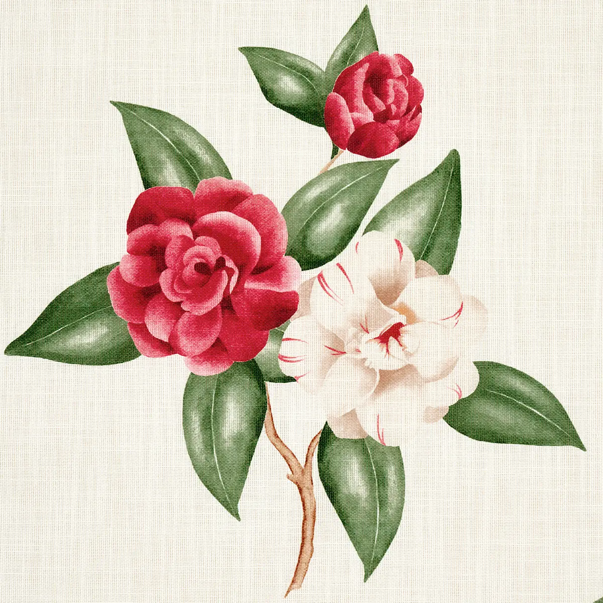 CASABLANCA FLORAL INDOOR/OUTDOOR_ GARNET