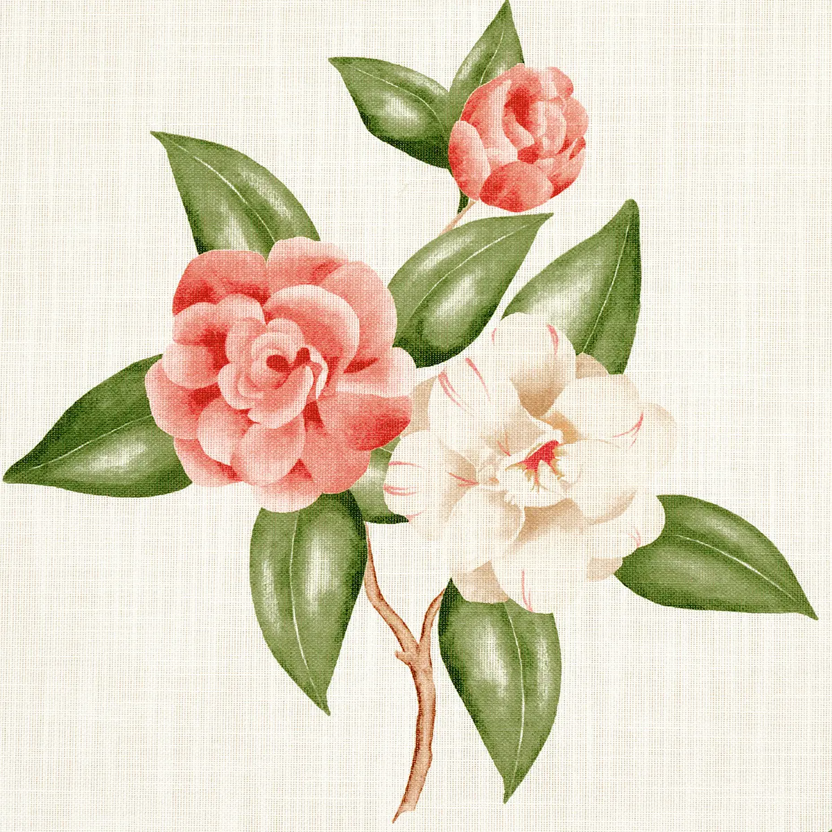 CASABLANCA FLORAL INDOOR/OUTDOOR_ CORAL