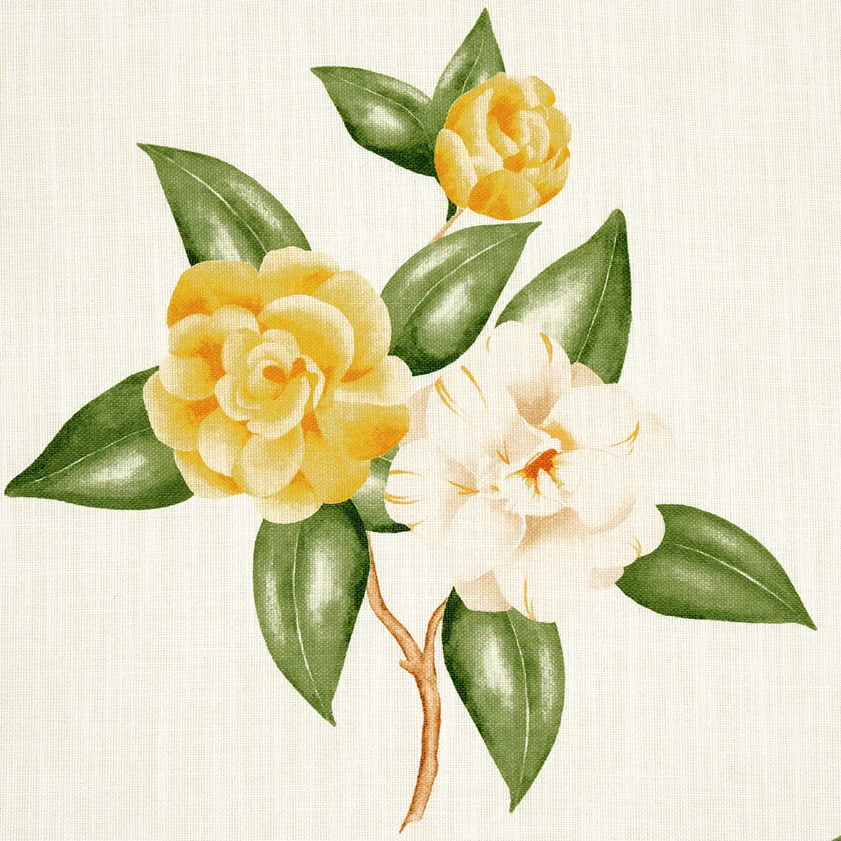 CASABLANCA FLORAL INDOOR/OUTDOOR_ PALE YELLOW