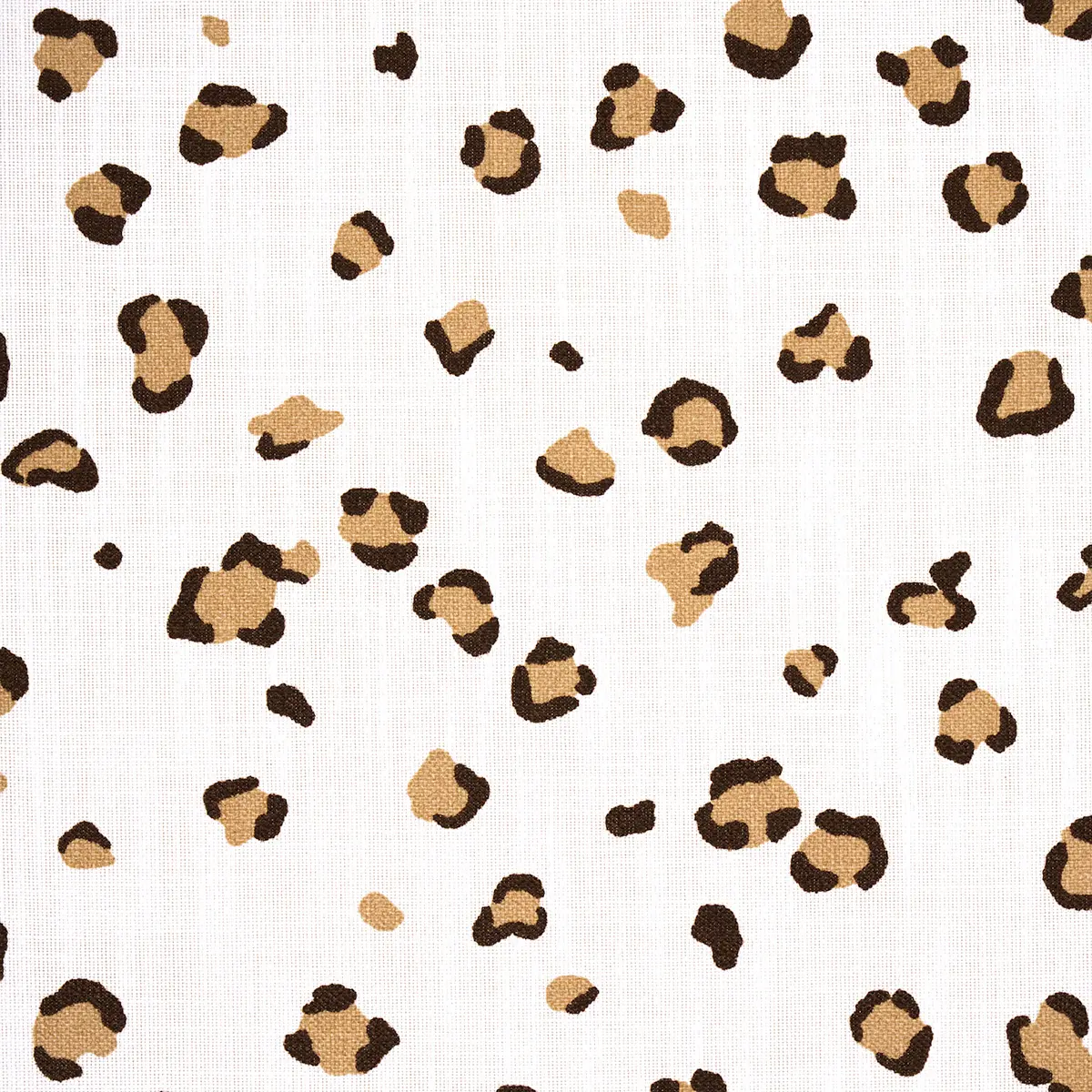 WILD AT HEART INDOOR/ OUTDOOR_ SAFARI