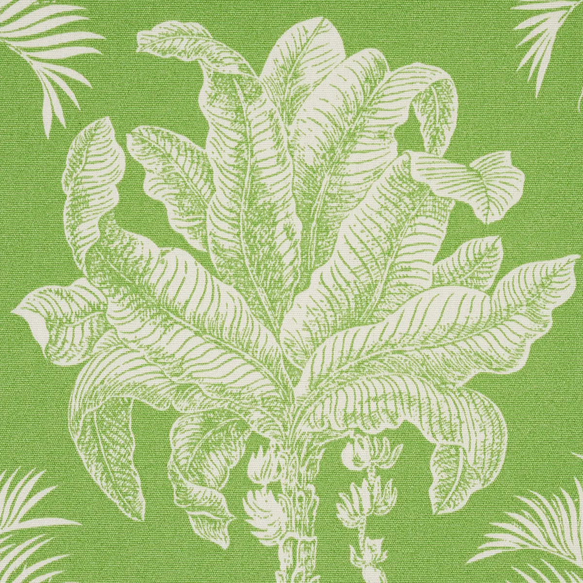 GRAND PALMS INDOOR/OUTDOOR_ GREEN
