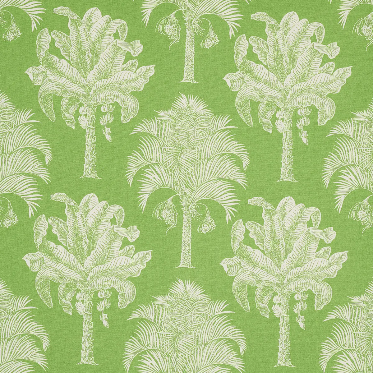 GRAND PALMS INDOOR/OUTDOOR_ GREEN