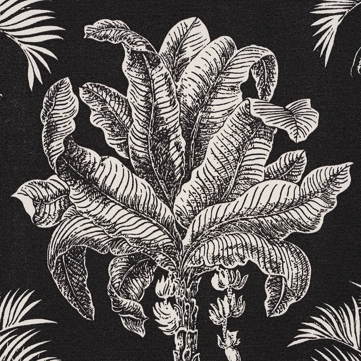 GRAND PALMS INDOOR/OUTDOOR_ BLACK