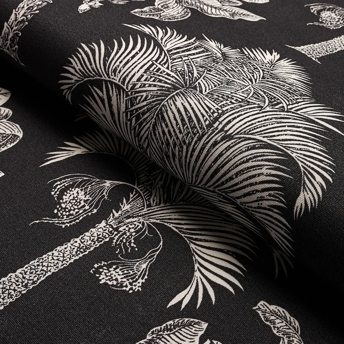 GRAND PALMS INDOOR/OUTDOOR_ BLACK
