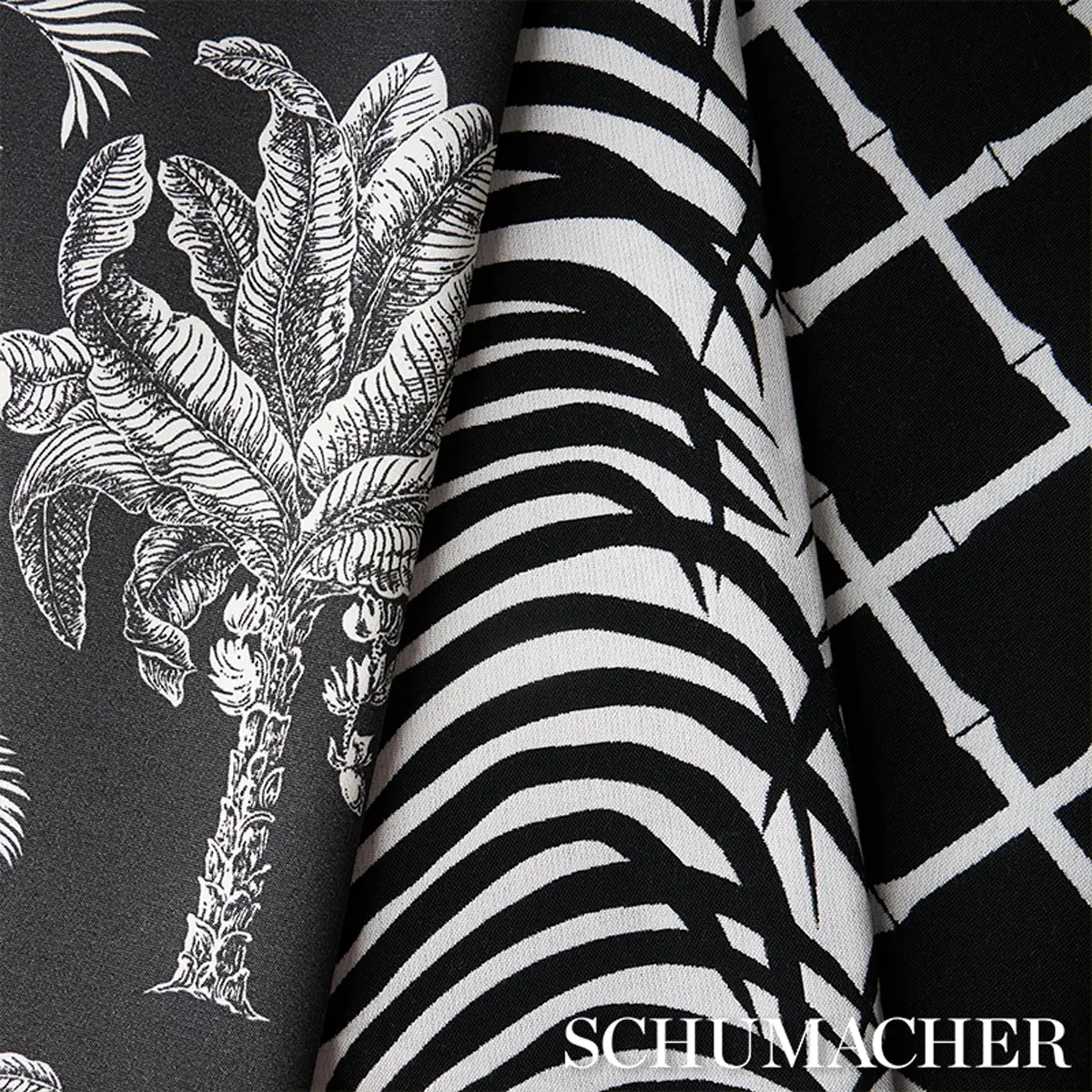 GRAND PALMS INDOOR/OUTDOOR_ BLACK