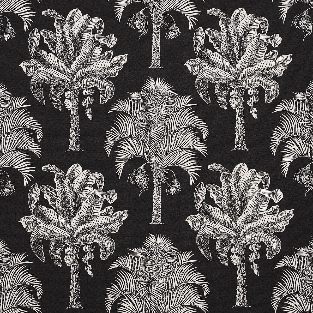 GRAND PALMS INDOOR/OUTDOOR_ BLACK