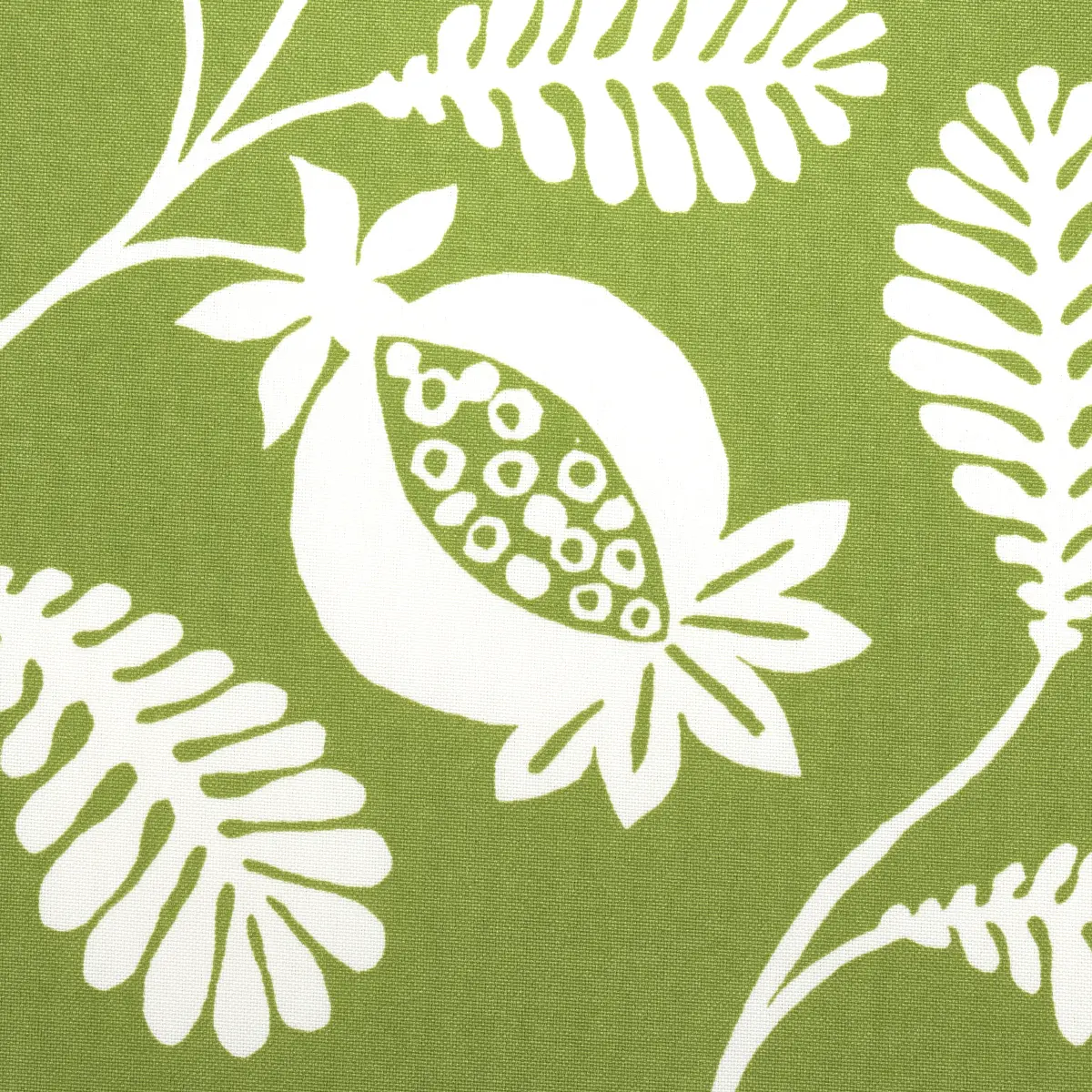 LANZADERA VINE INDOOR/OUTDOOR_ HONEYDEW