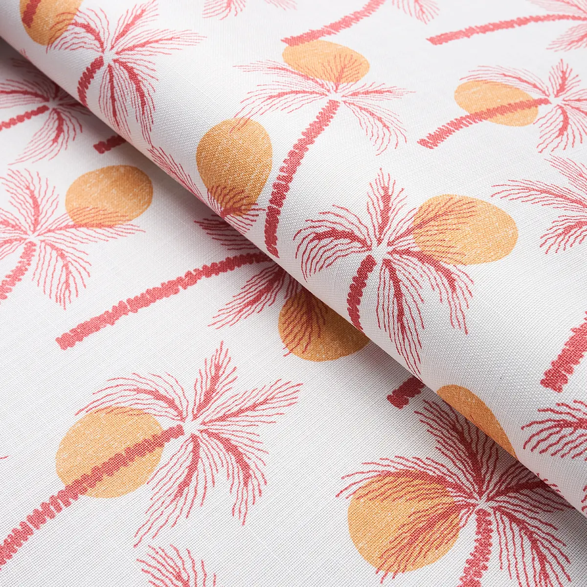 CLARABELLA PALM INDOOR/OUTDOOR_ CITRUS