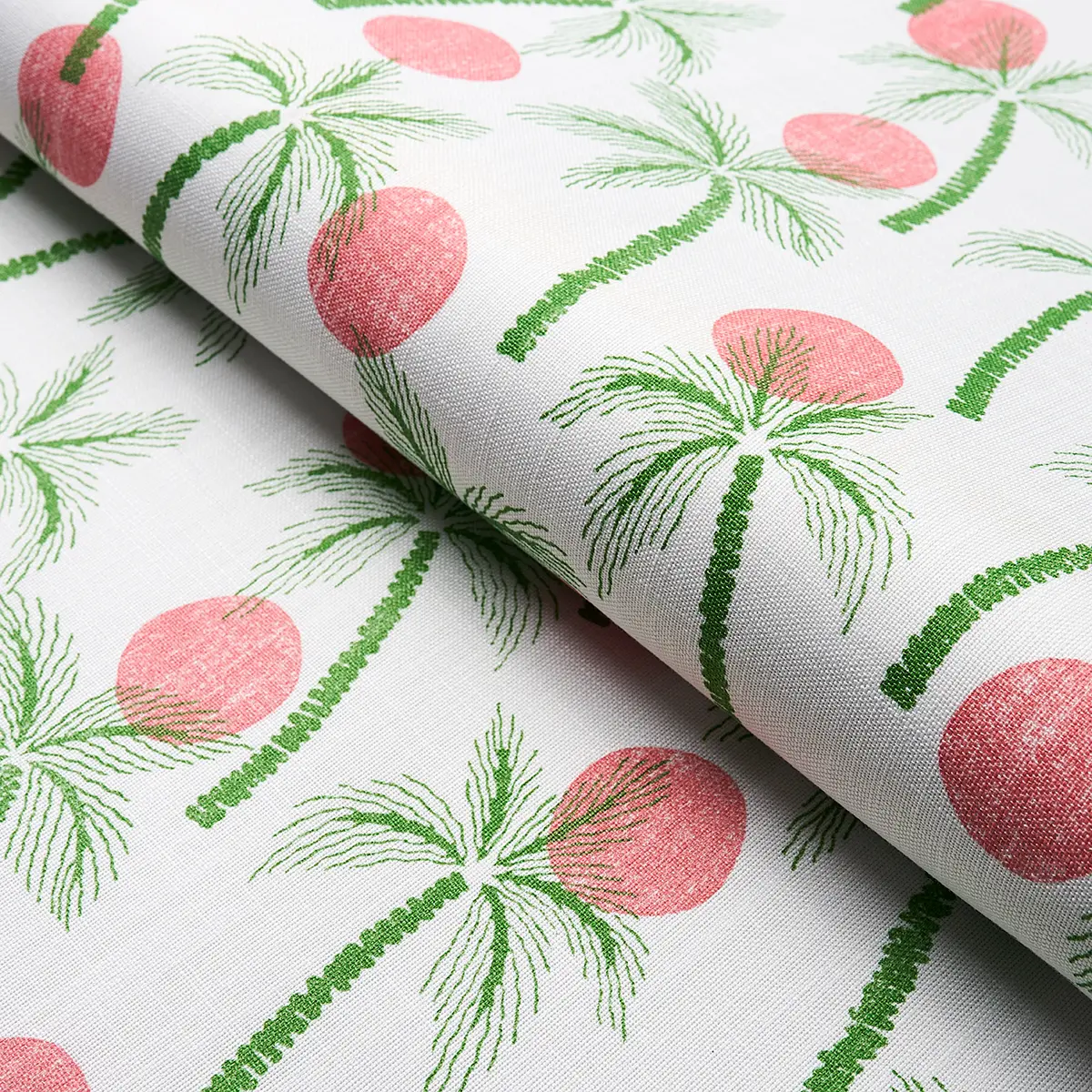 CLARABELLA PALM INDOOR/OUTDOOR_ TROPICAL